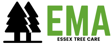 ema tree care logo